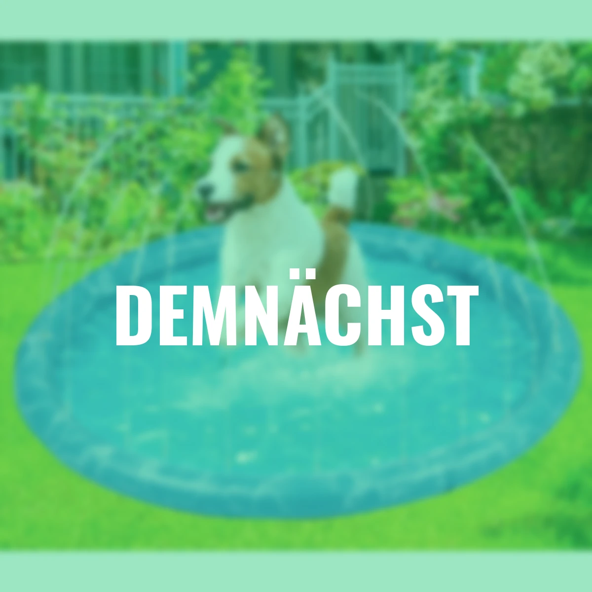 Hundeplanschbecken mit Sprinklern, blau, Ø 100 cm