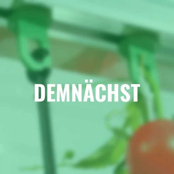 Gewächshaus-Clips, 10 Stück