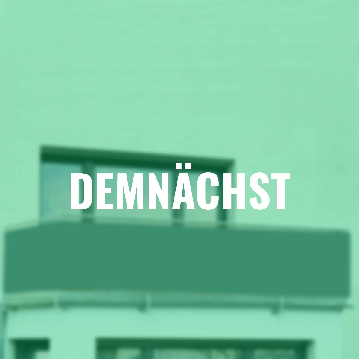 Balkon-Sichtschutz anthrazit, 500x85 cm