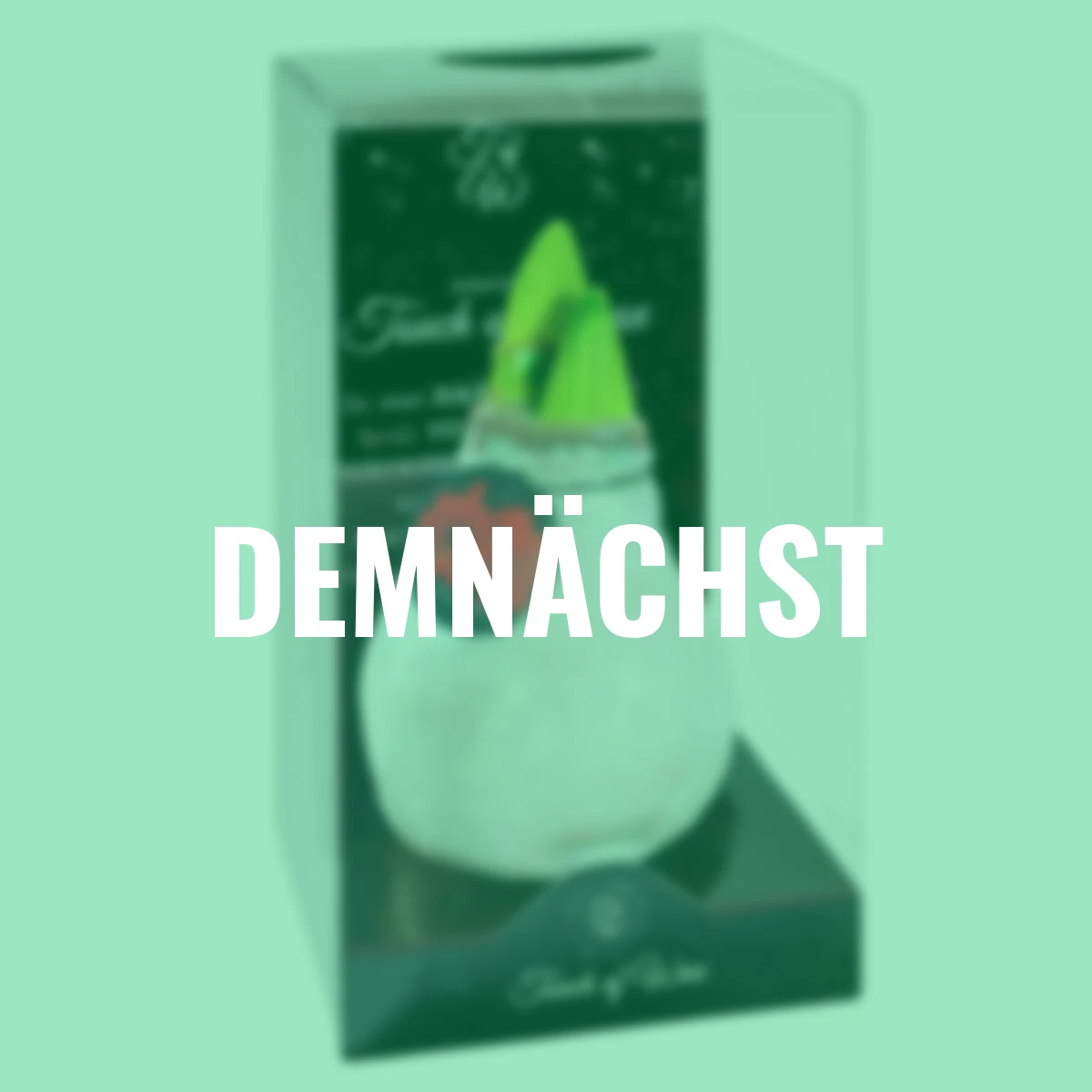 Amaryllis Wax, Touch of Magic White