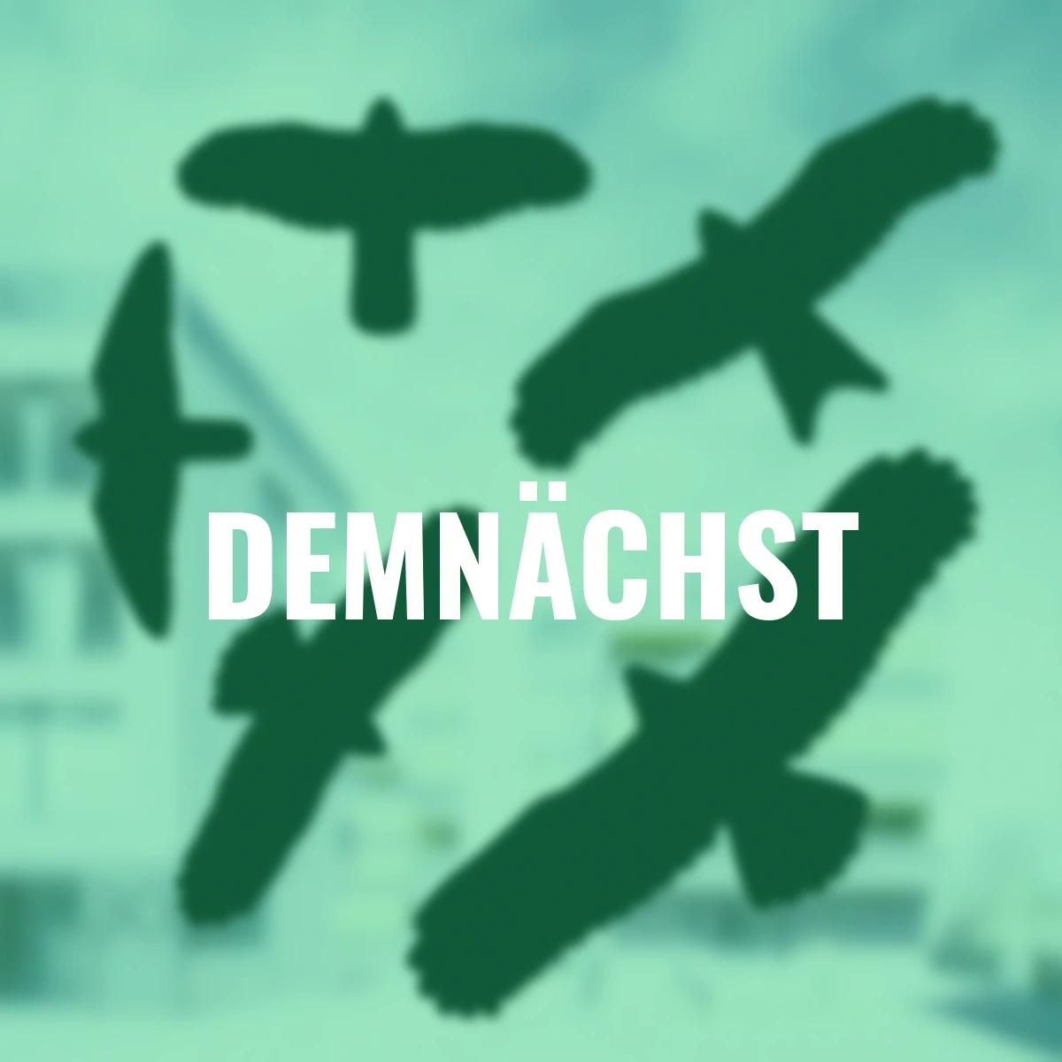 Vogelschutz-Aufkleber