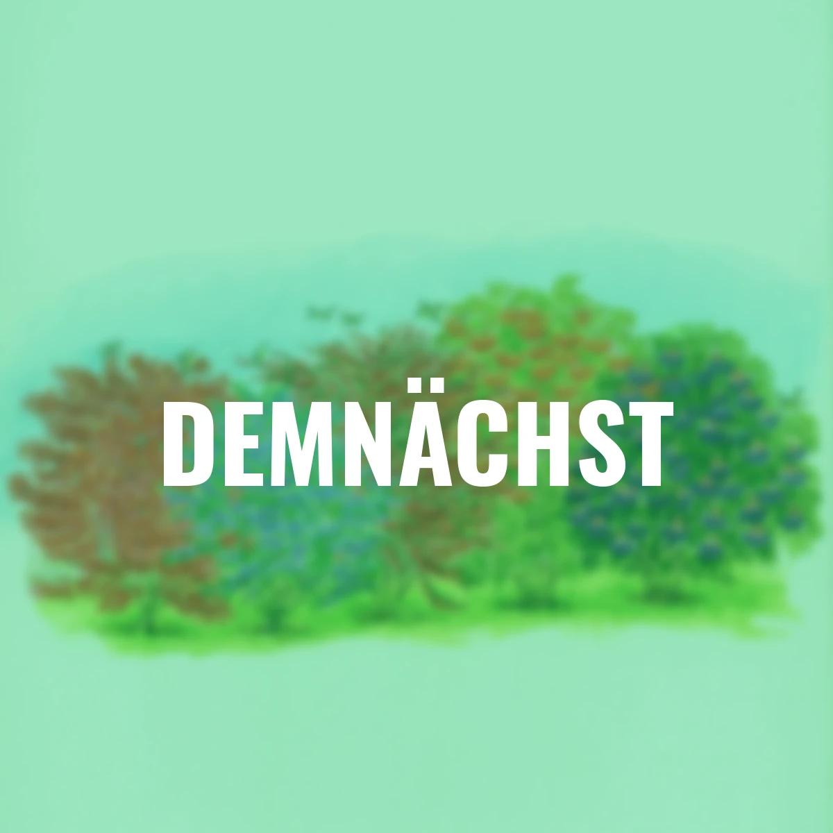 Ziergehölz-Set Singvogel-Hecke