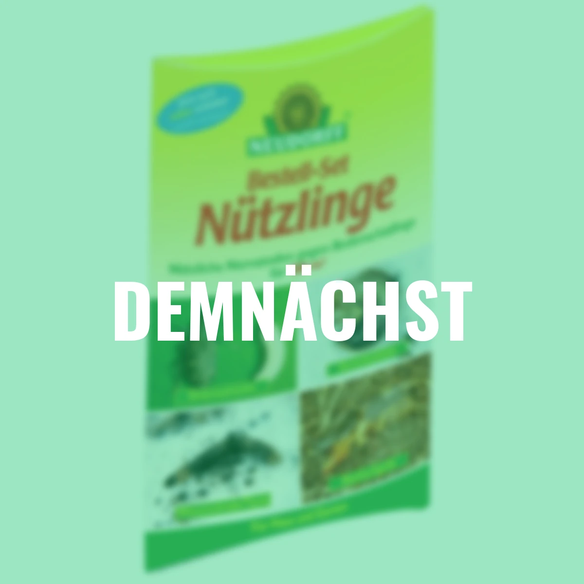 Bestell-Set Nützlinge für Großflächen