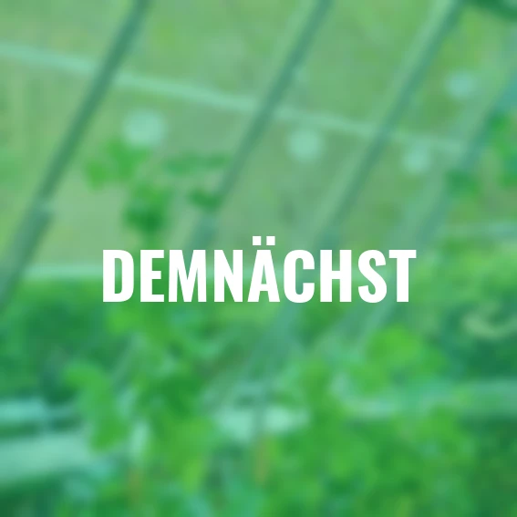 Komplett-Set Pflanz- und Rankspulen, mit 6 Rollen & Zubehör, 84-teilig