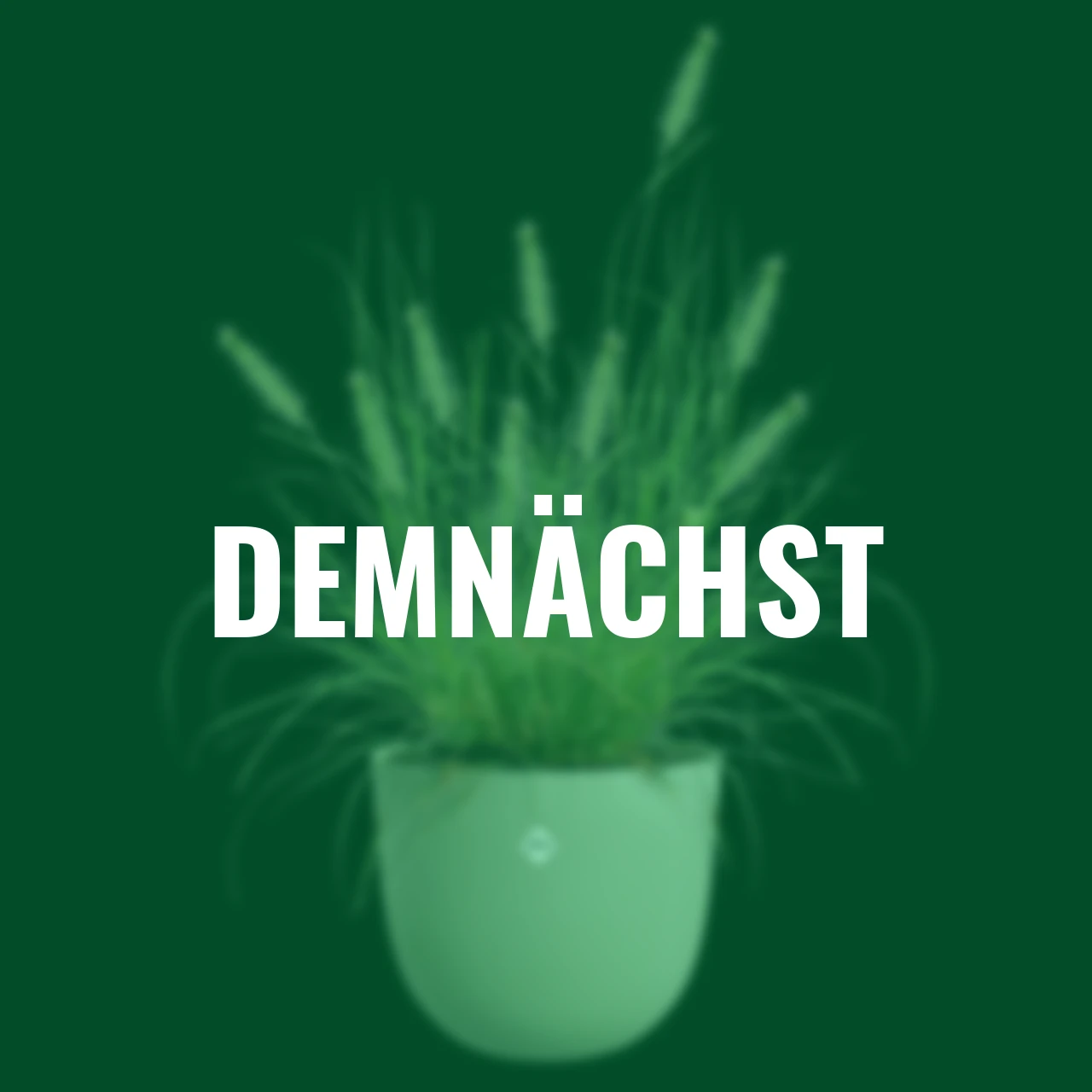 Pflanztopf Sereh 30 cm grün