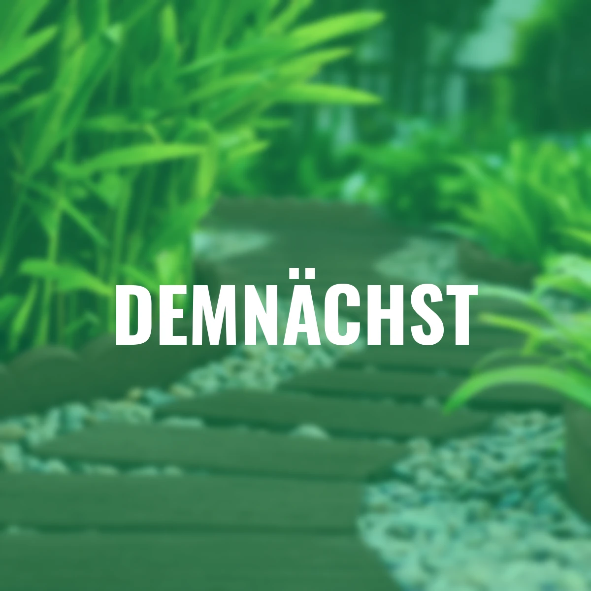 Trittstein Bahnschwelle, 4er-Set, 25x60 cm, braun