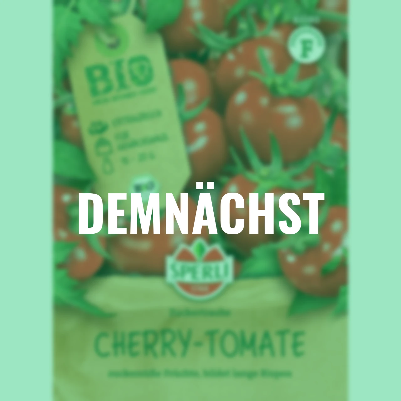 BIO Tomatensamen Zuckertraube