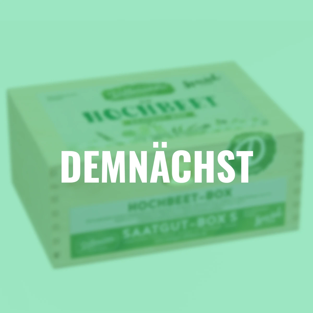 Saatgut-Holzbox Hochbeet, 8 Saatgut-Sorten