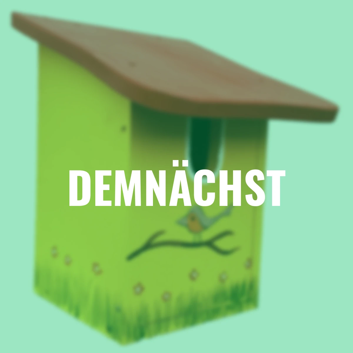 Nistkasten Rotkehlchenparadies