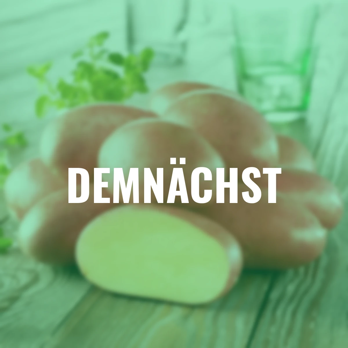 Kartoffel Ramona, 10 Stück