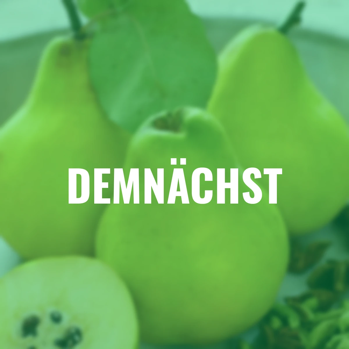 Portugiesische Birnen-Quitte