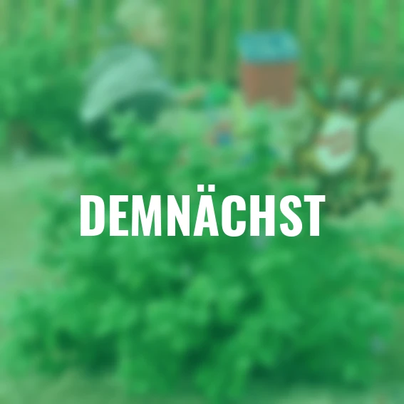 Verpiss-Dich-Pflanze