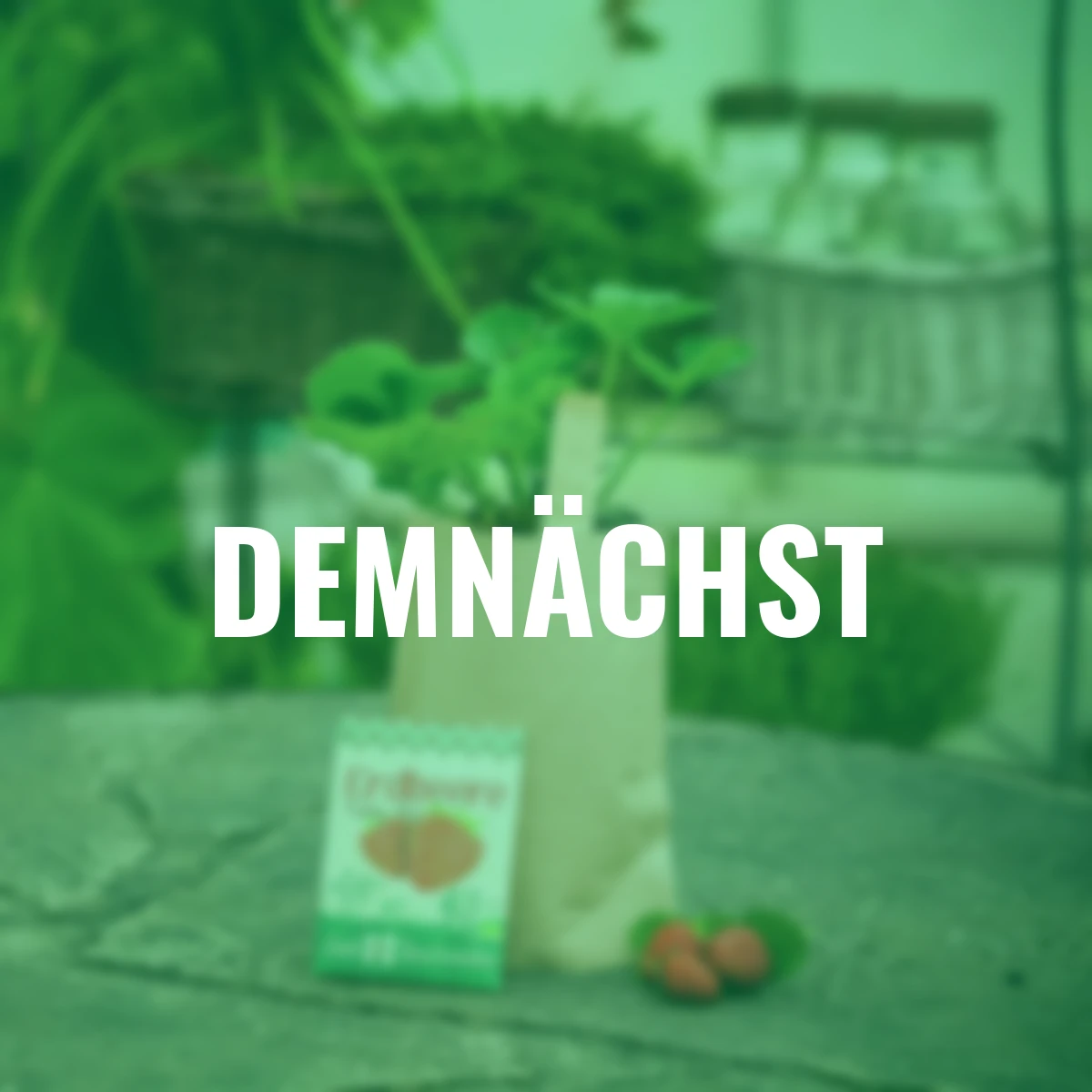 Minigarten - Erdbeere Tubby Red