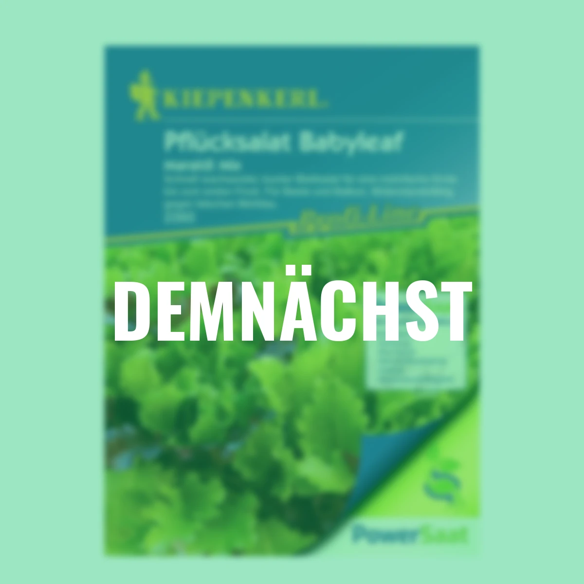 Pflücksalat Babyleaf Maraldi Mix PowerSaat