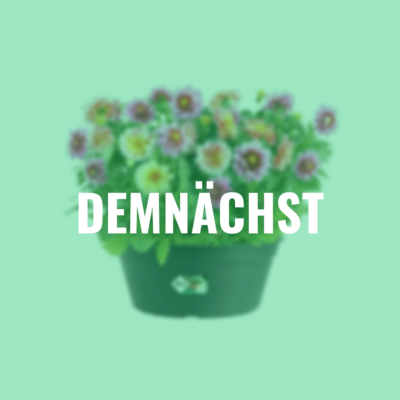 Pflanzschale Green Basics 27 cm anthrazit