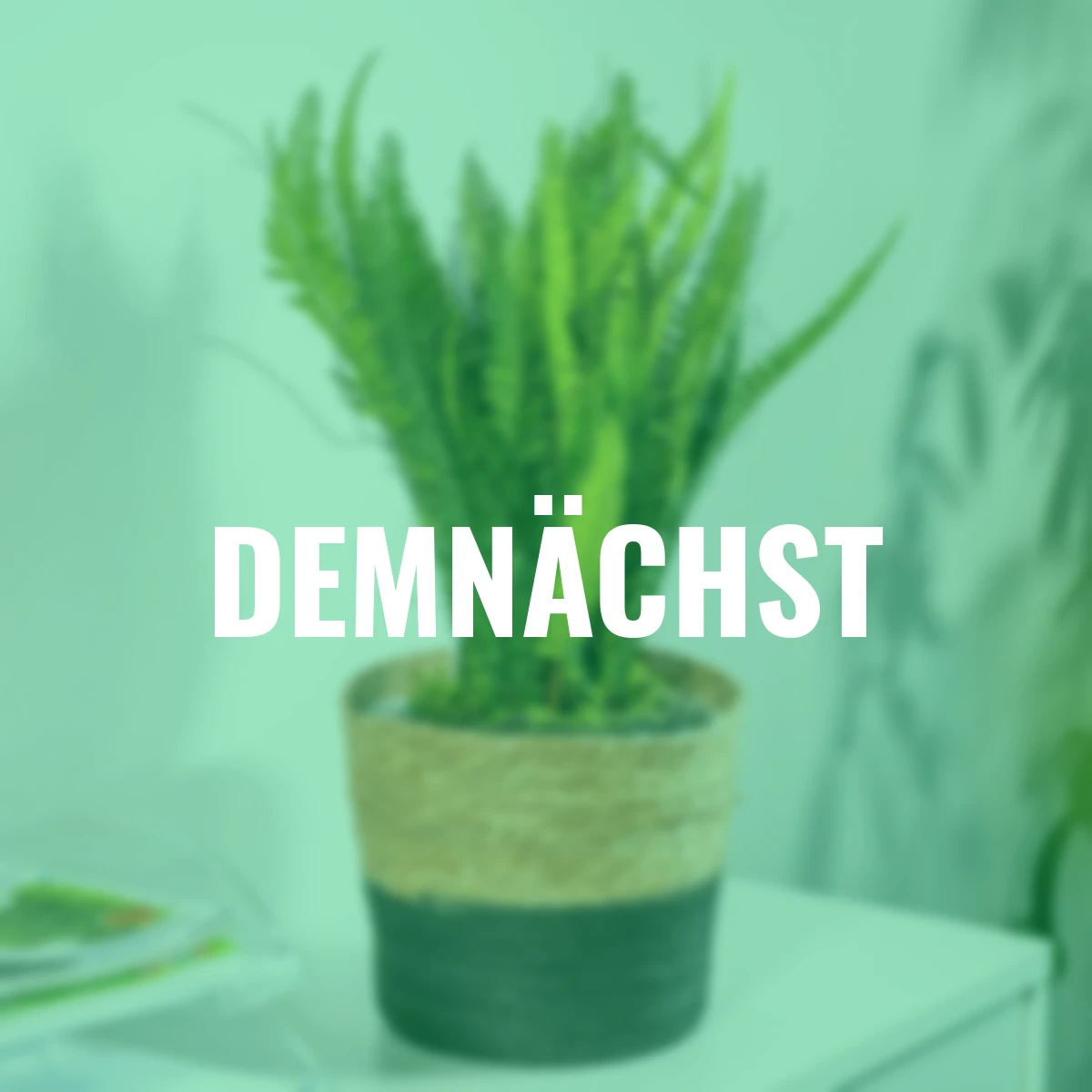 Kunstpflanze Farn in schwarzem Kunststofftopf, 56 cm