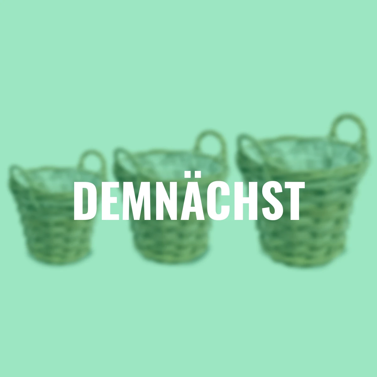 Pflanzkorb mit Henkel, Kuburattan, 3er-Set