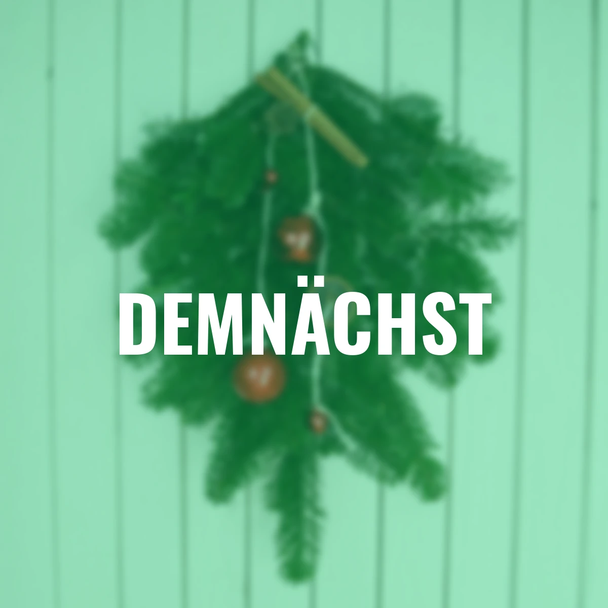 Nordmann-Tanne, Bund 500 g