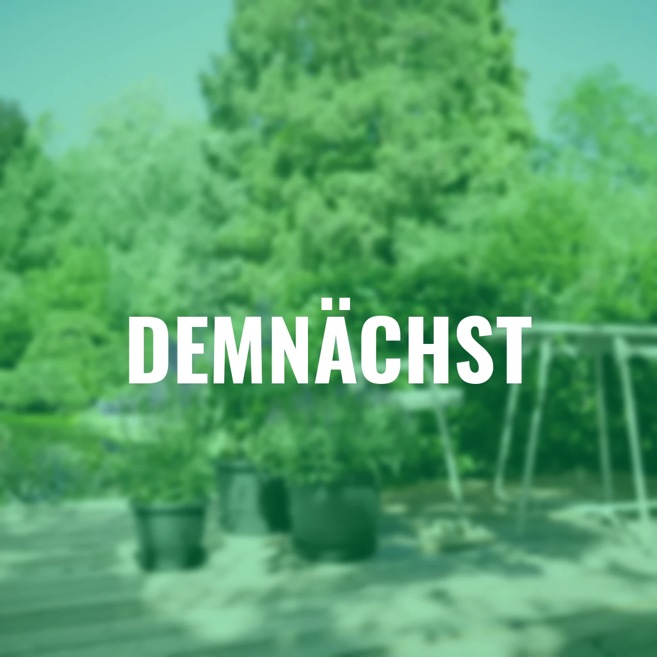 Pflanzkübel Amiga 25 cm anthrazit