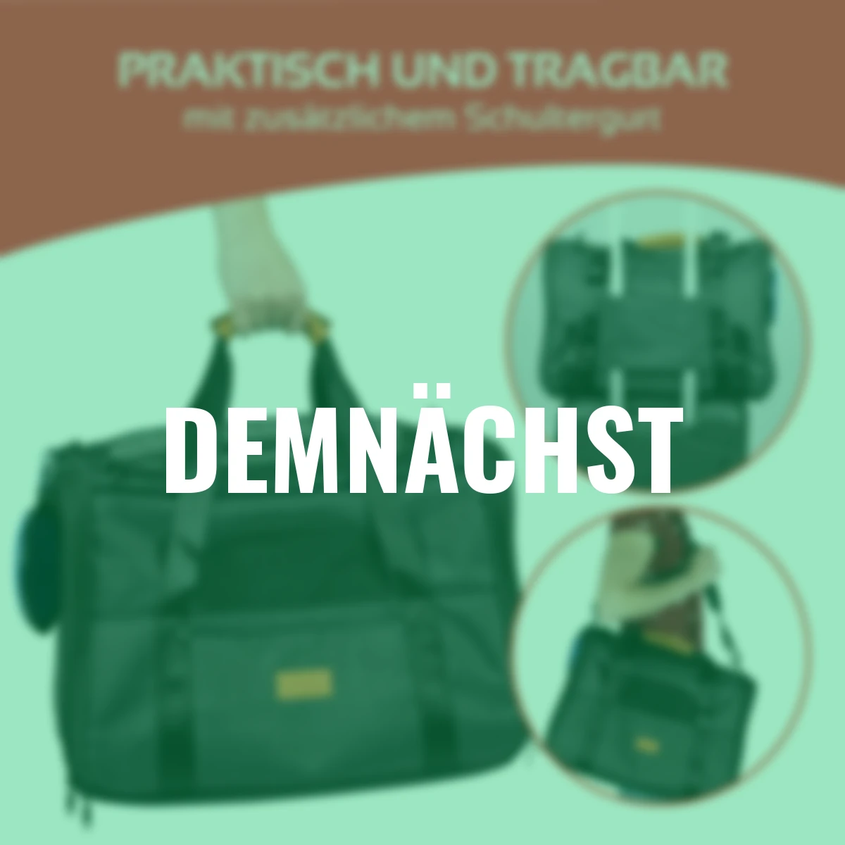 Reisetasche für Hund und Katze bis 5 kg, schwarz, 44x31x34 cm