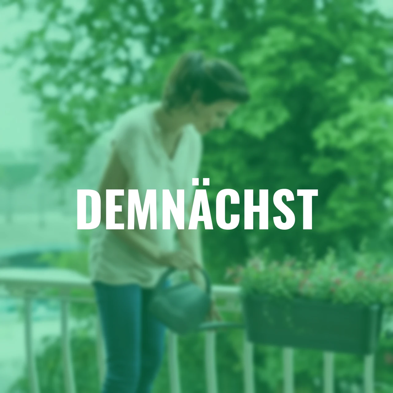 Gießkanne Aquarius 1,5 L anthrazit