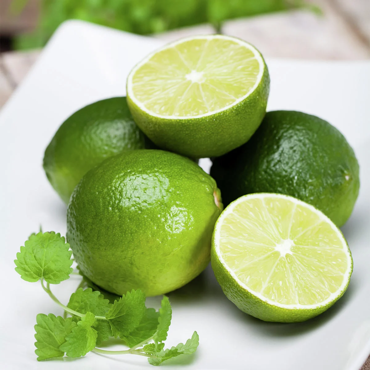 Grüner Limetten-Stamm, im ca. 19 cm-Topf