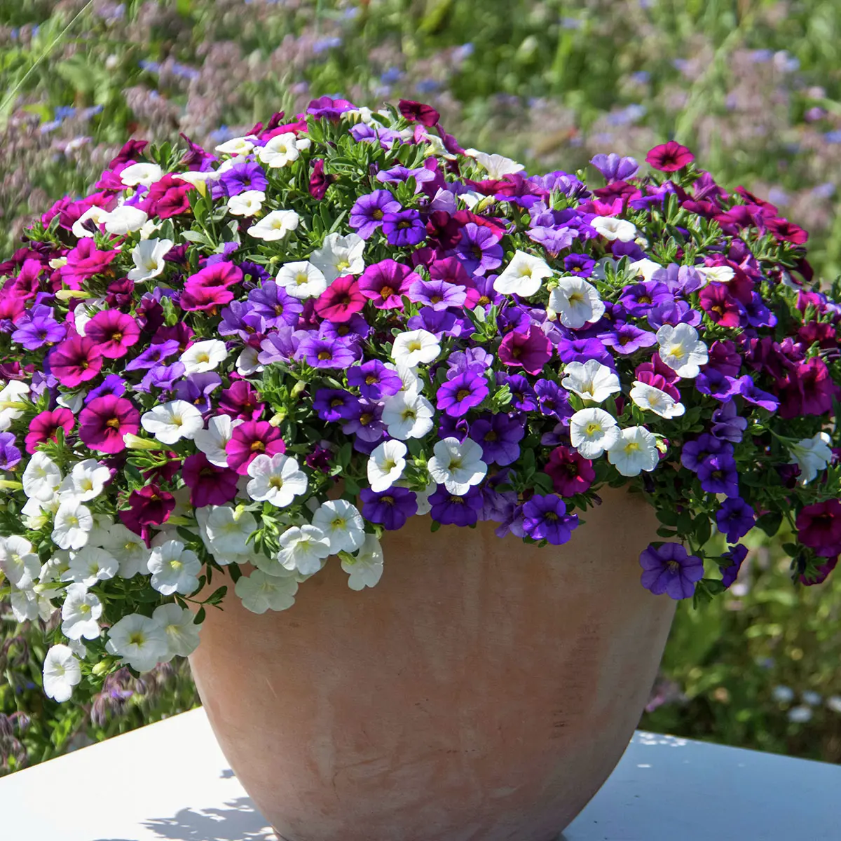 Trio-Zauberglöckchen, blau-weiß-pink