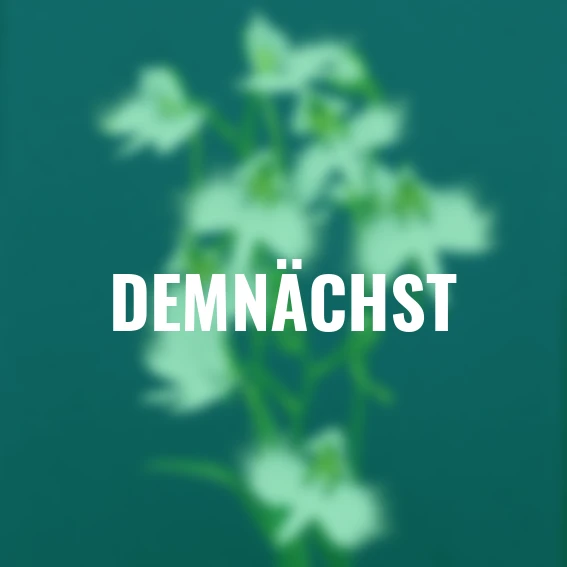 Japanische Vogelblume