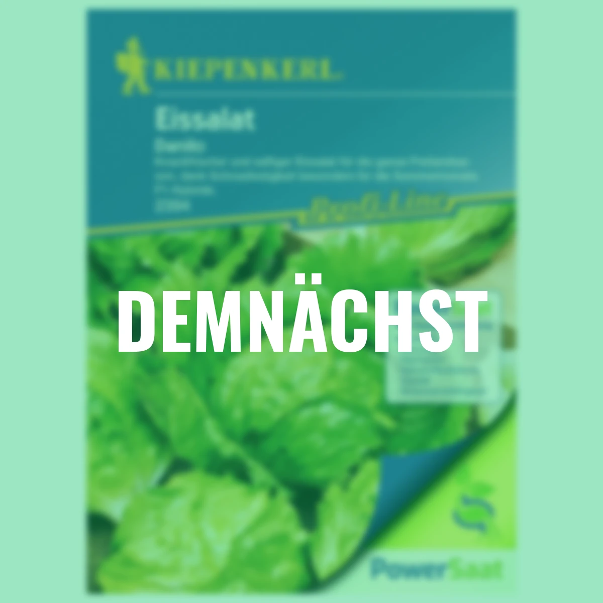 Eissalat Danilo PowerSaat