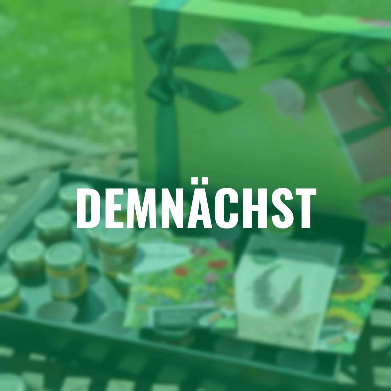 Honig Geschenkset – 24 Sorten & bienenfreundliches Saatgut