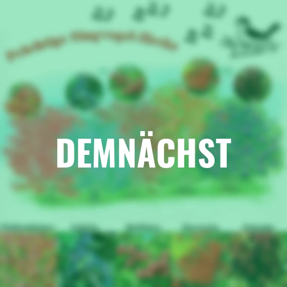 Ziergehölz-Set Singvogel-Hecke