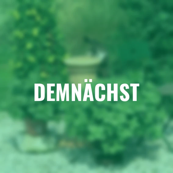 Verpiss-Dich-Pflanze