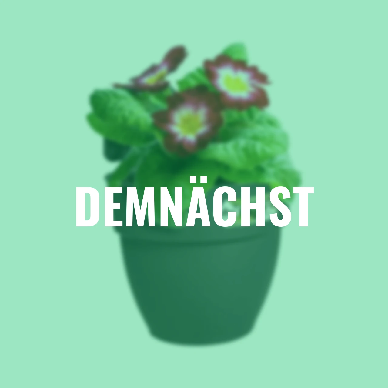 Hängetopf Vibia Campana Easy S anthrazit