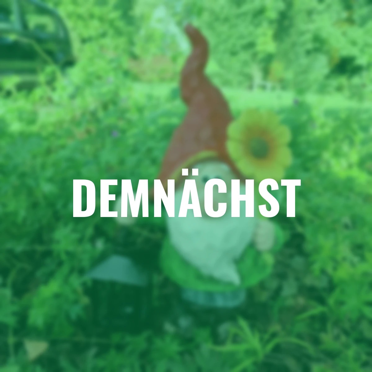 Zwerg mit Blume und Laterne, 37,5 cm