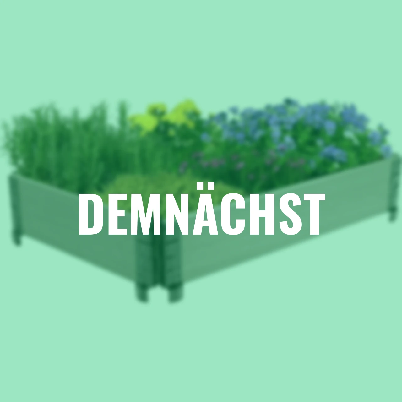 Frühbeet-Umrandung, grau