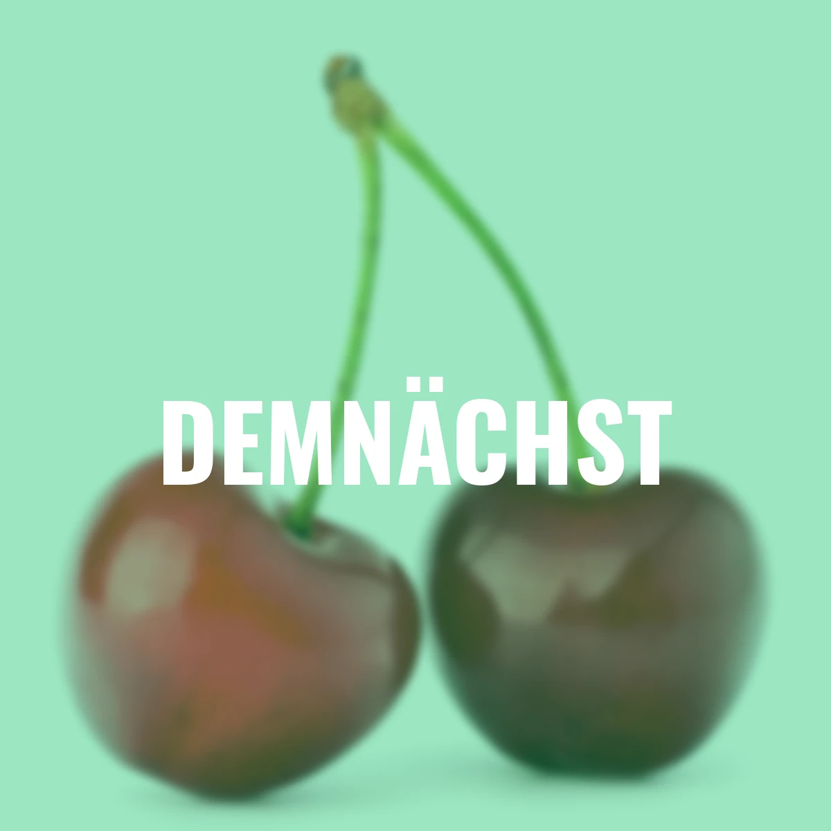 Säulen-Süßkirsche Victoria