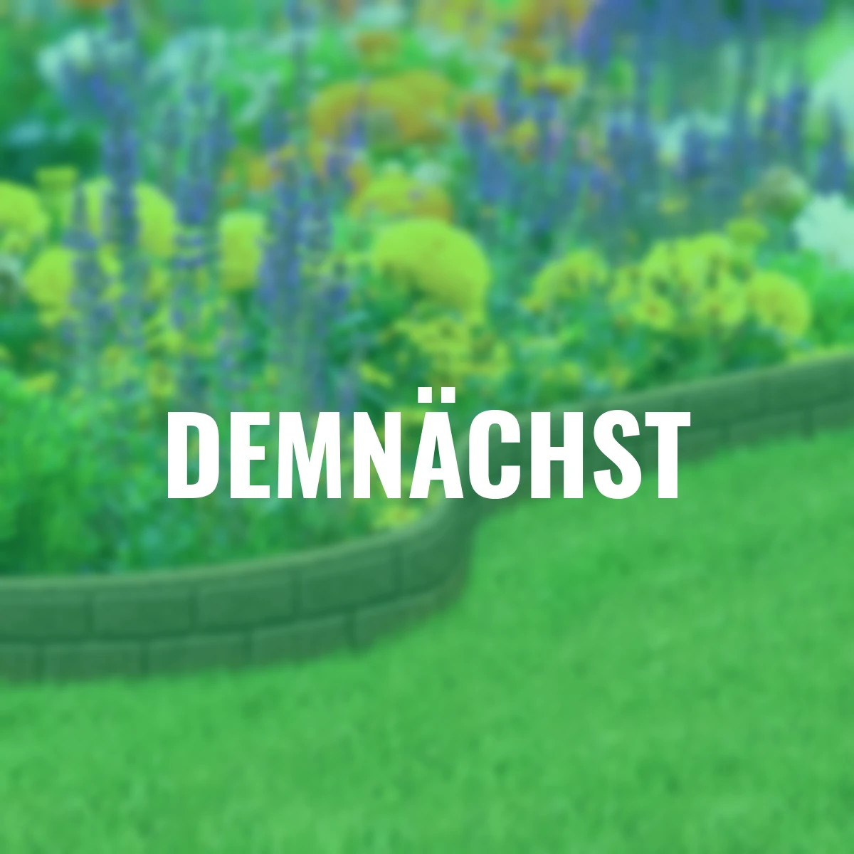 Rasenkante Mauer 6er-Set, braun, 720 cm