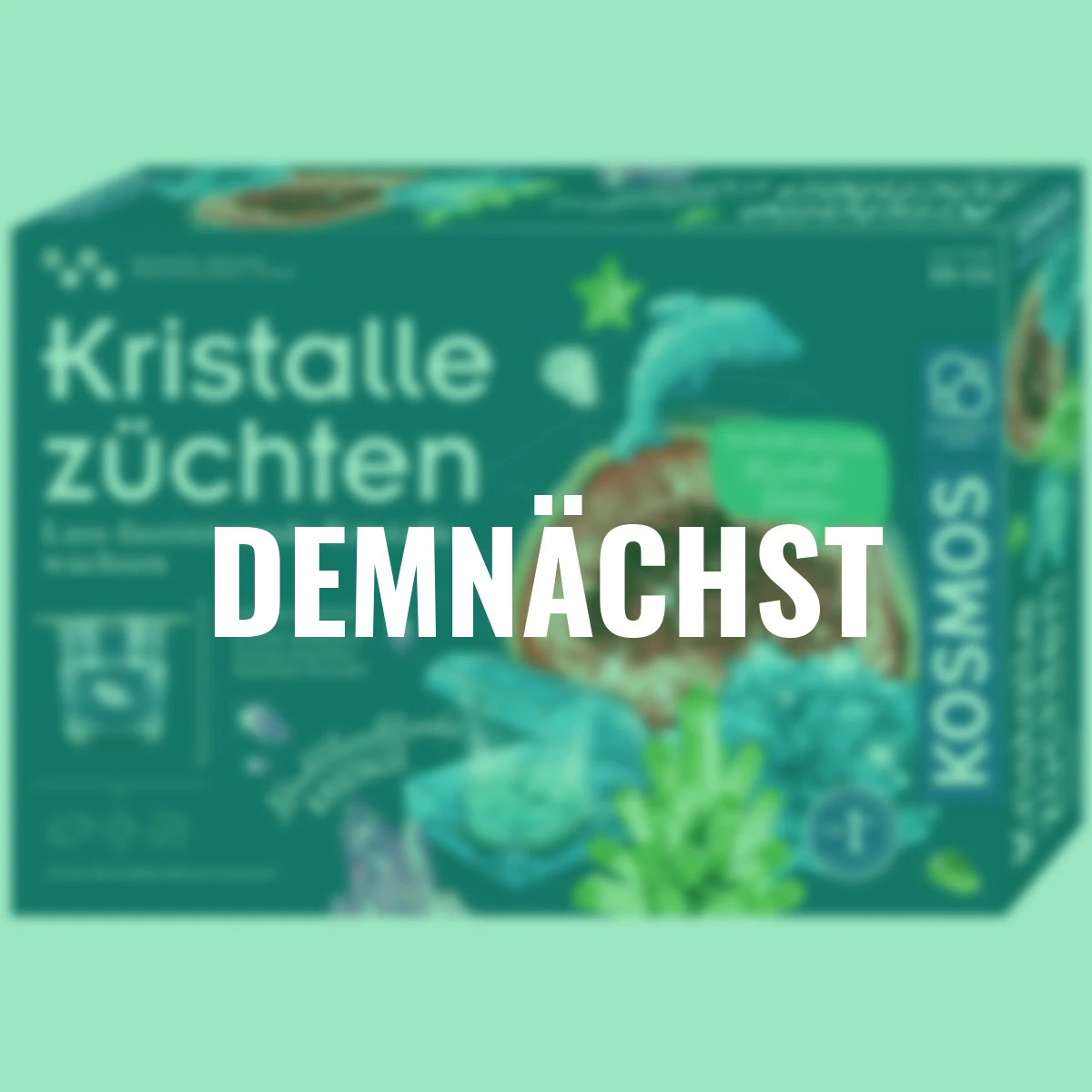 Kristalle züchten, Experimentierkasten