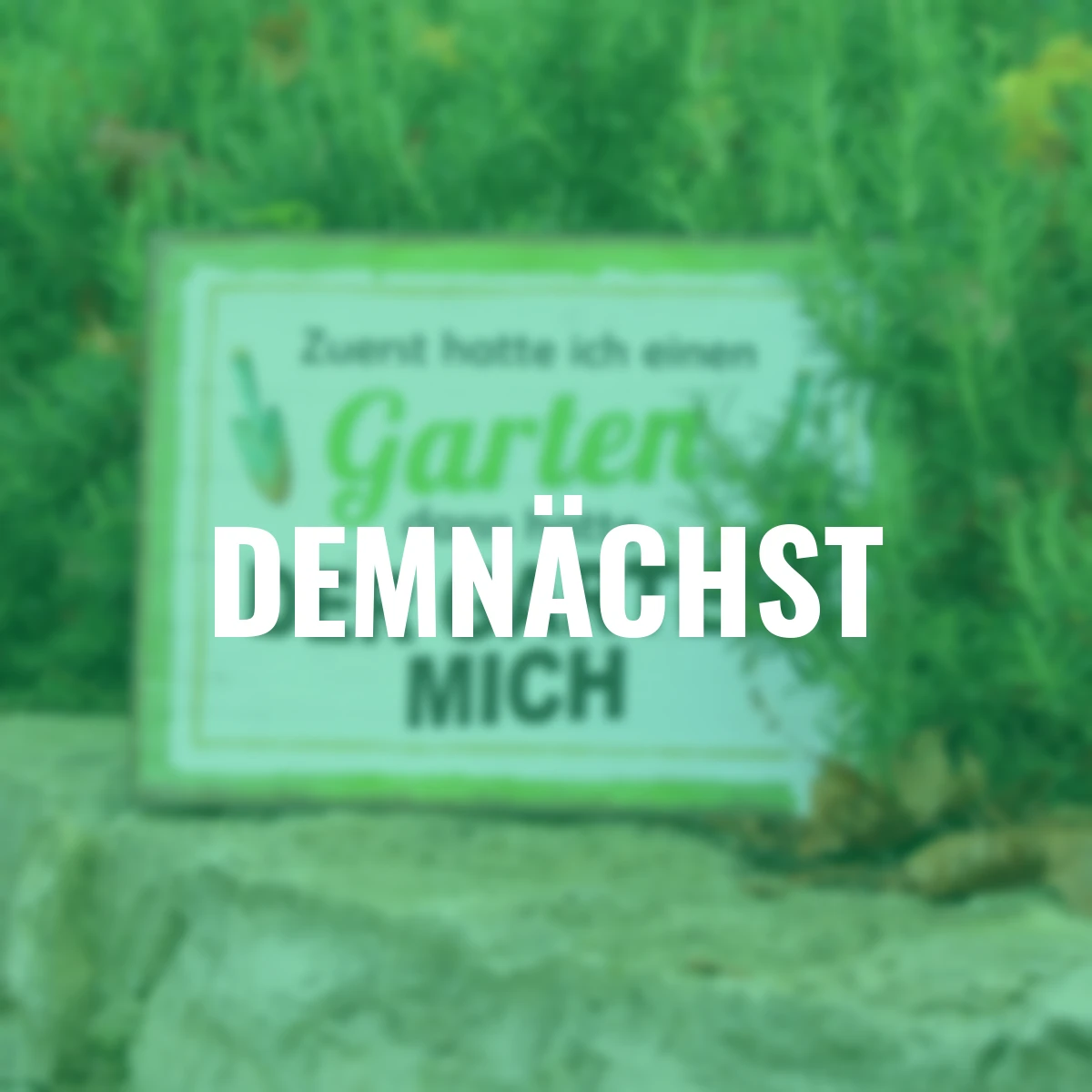 Metall-Schild, Zuerst hatte ich... weiß/grün