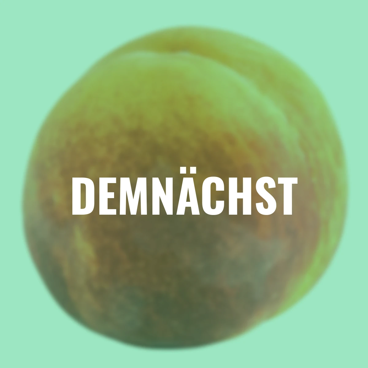 Säulen-Pfirsich Aida