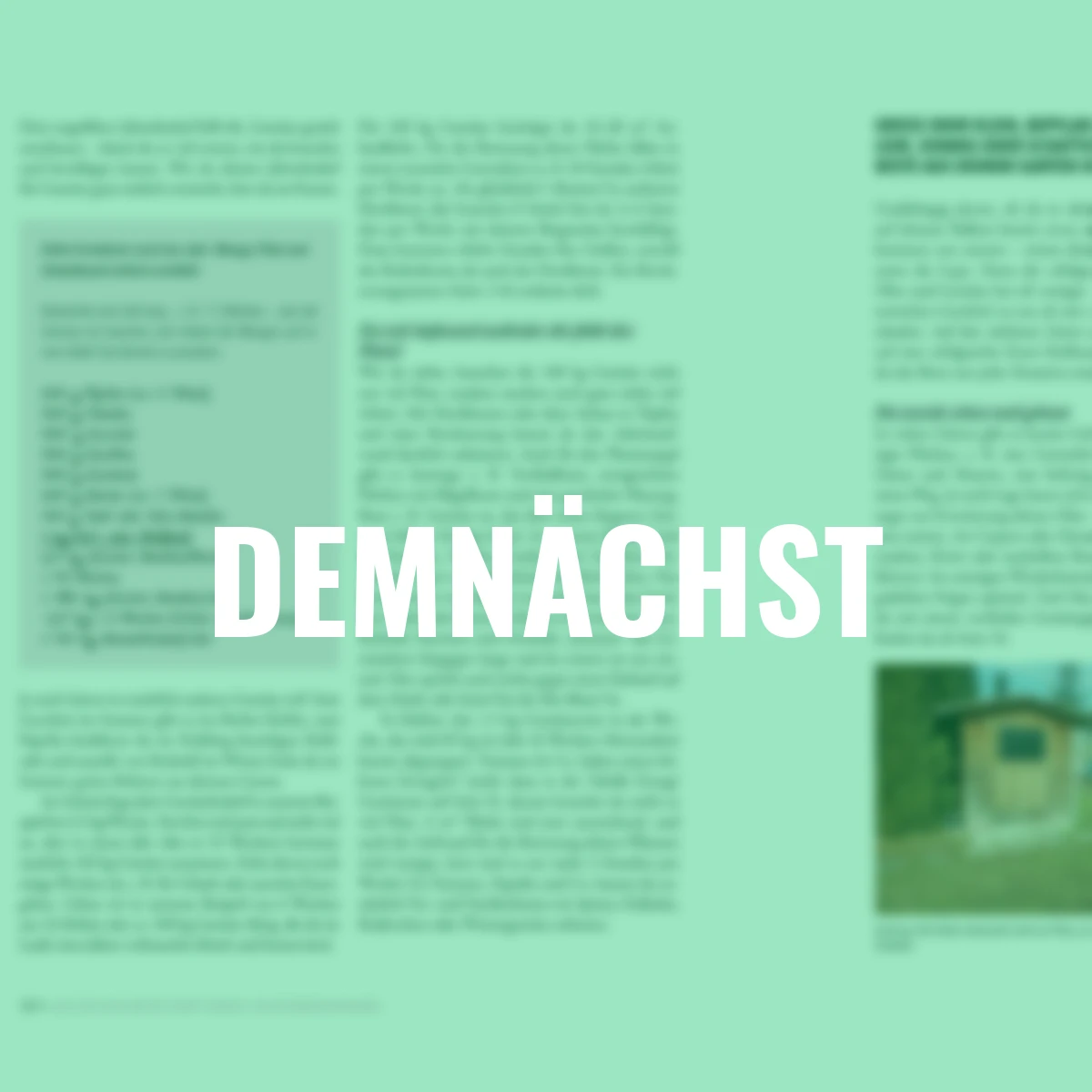 Das phänomenale Erntebeet