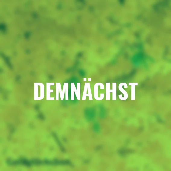 Ziergehölz-Set Blütenhecke