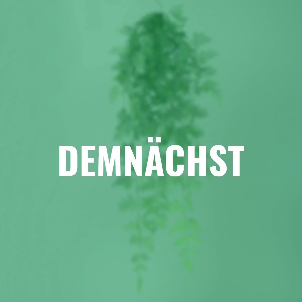 Kunstpflanze Farnhänger