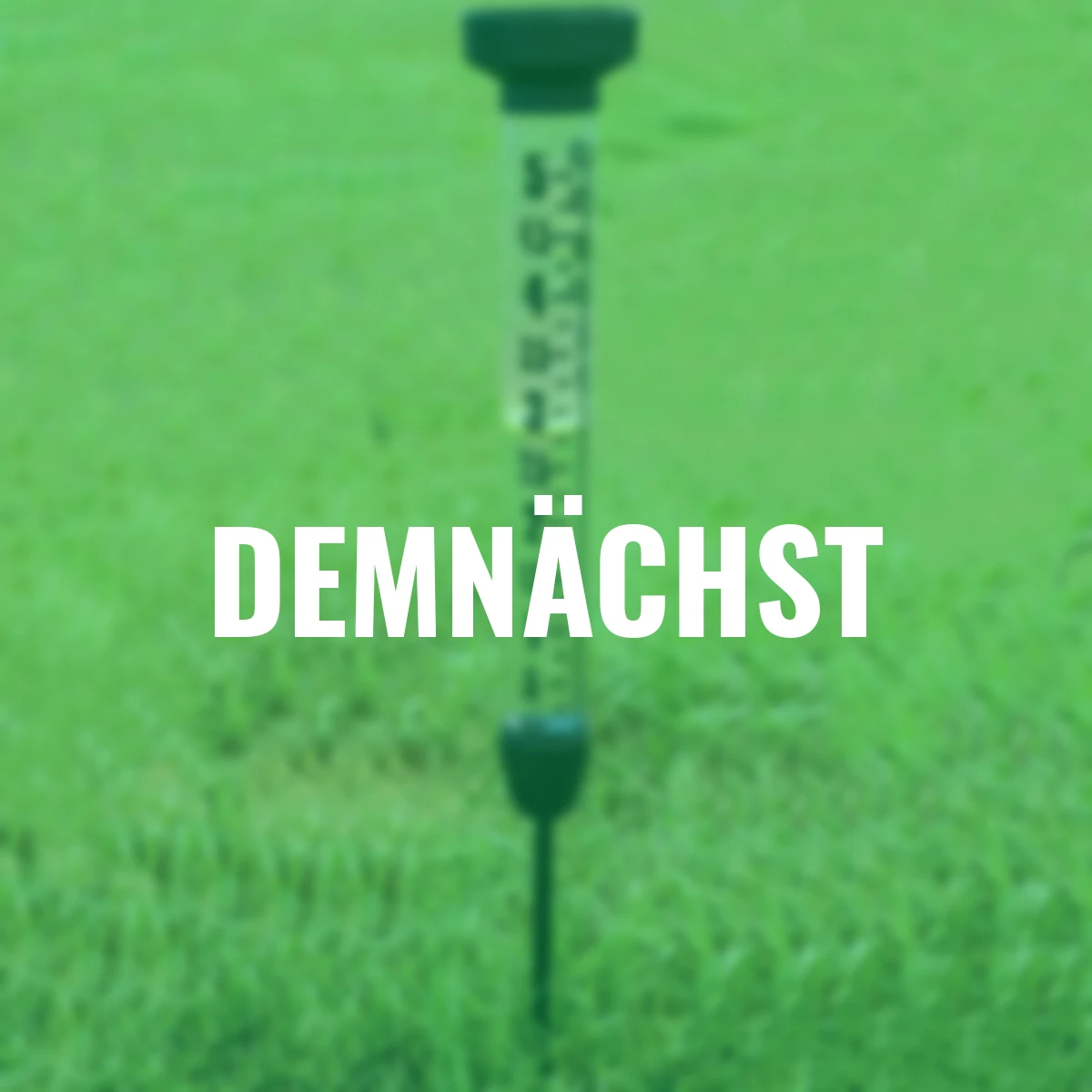 Design Regenmesser, aus Kunststoff, ca. 105 cm