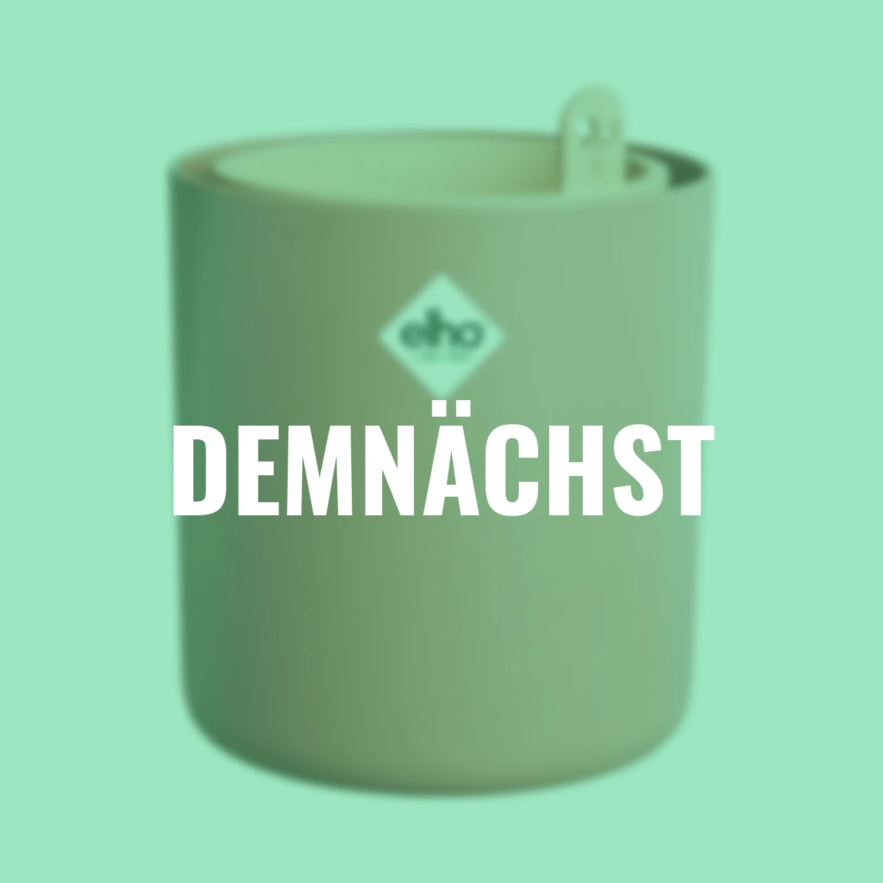 Basilikum-Topf Bouncy Basil 17 cm terracotta