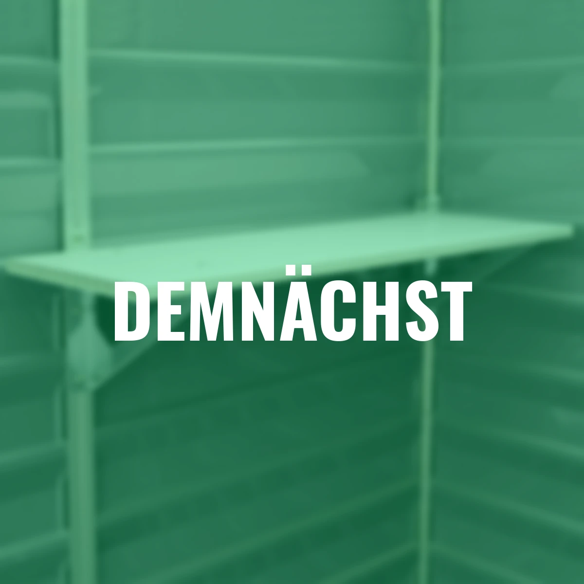 Skylight Regaleinsatz