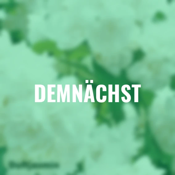 Ziergehölz-Set Blütenhecke