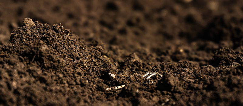 Kompost anlegen im Garten