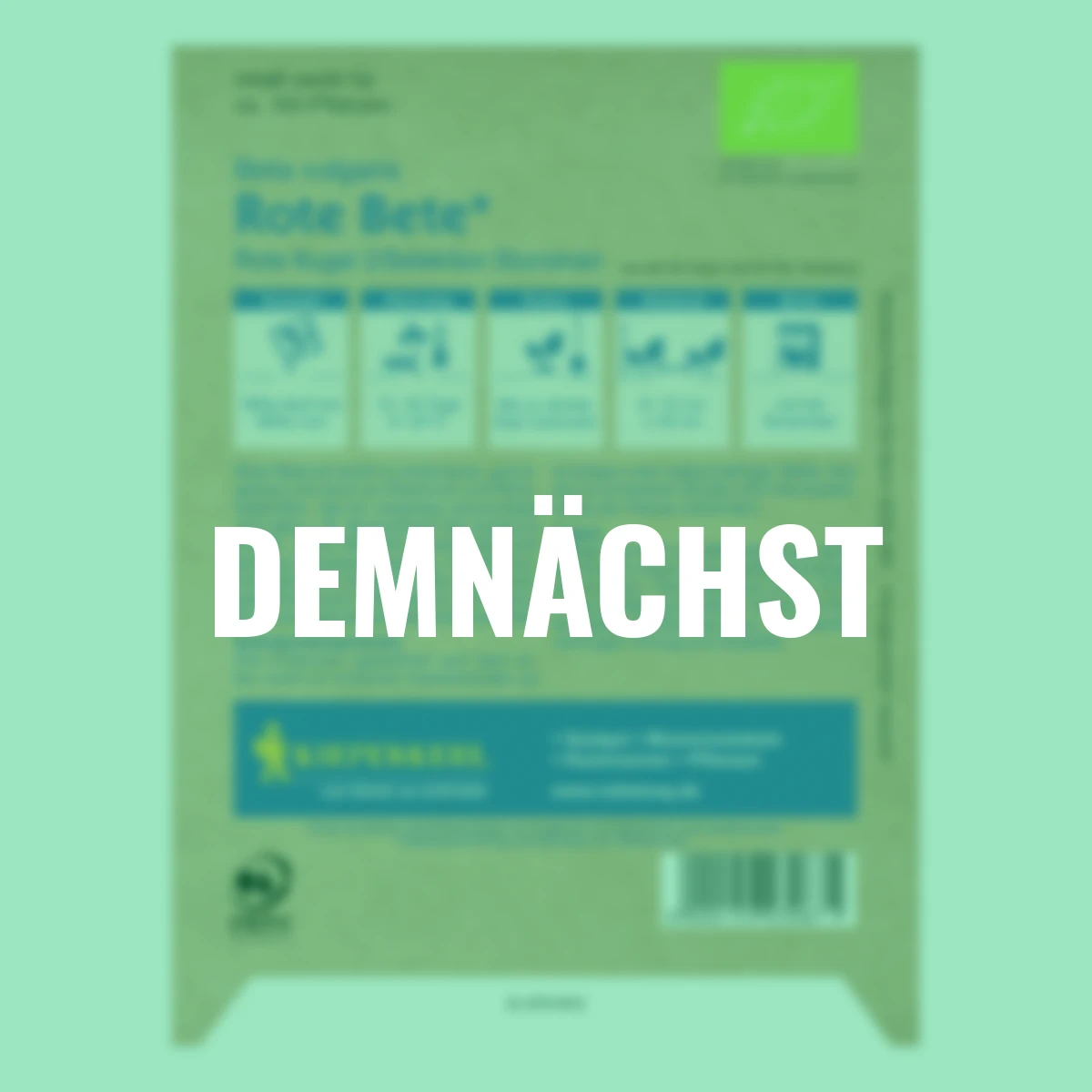 BIO Rote Bete Samen Rote Kugel 2/Selektion Sturoman