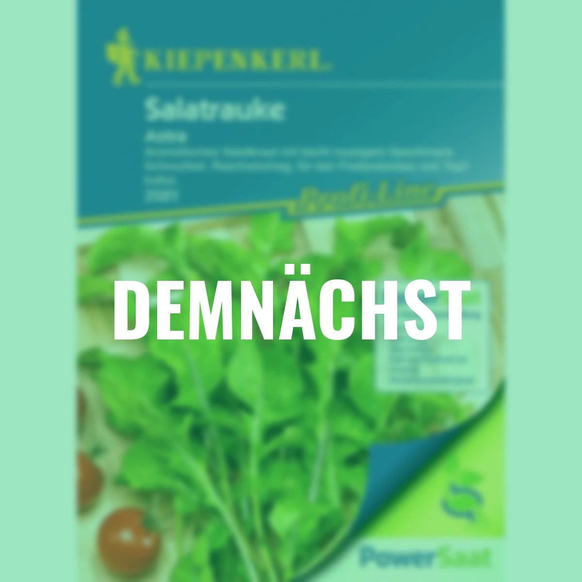 Salatrauke Astra PowerSaat